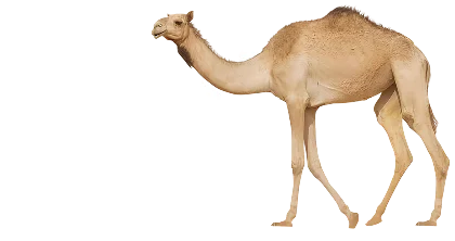 Alable Logo